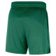 Nike Ανδρικό σορτς Boston Celtics NBA Mesh Shorts